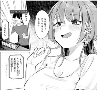ゲーム友達にリアルで会うかと誘われた｜オフパコでもしますぅ冗談かと思いきやガチだった